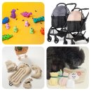 댕댕잡화점 이미지