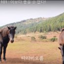 관광지포토서비스 - 춘천시 스포츠타운길 245 | 관광지포토서비스