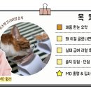 와즈펫(wispet) 이미지