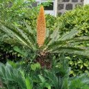 저청중학교 이미지