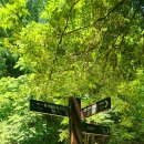 광원리 월둔교 이미지