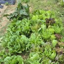 노을한우농장 이미지