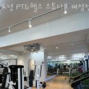 도넛 PT 스튜디오 이미지