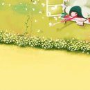 보성강6 이미지