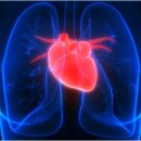 와일드 짐 이미지