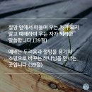 달리다굼 이미지
