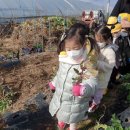 슬기농장 2 이미지