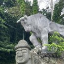 정가네밥상 제주스마트팜 <b>제주</b> 연동 신<b>제주</b> 보리굴비정식 맛집 <b>정가네</b><b>밥상</b> I 돌잔치·가족행사까지 가능한 정갈한 한상