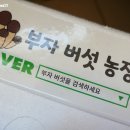 큰부자농장 이미지