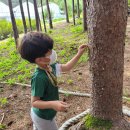 예인아이사랑어린이집 이미지