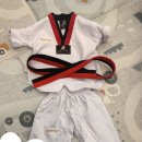 천하무적 태권도 | 태권도복 입은 4개월 아기🥋 | 2주차 문화센터 후기✏️