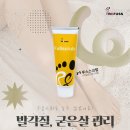 레푸스 범어점 네이버블로그