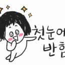 문화태권도예절관 이미지