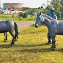 표선면-4 이미지