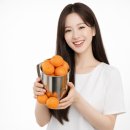 심정농장 | 제주 타이벡 감귤, 당도 11브릭스 이상? 은순이네 농장 솔직 후기