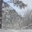 한라산(관음사-삼각봉)구간 이미지