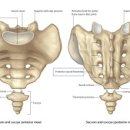 더블유필라테스 이미지