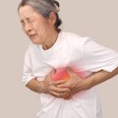 동아자동차랜드 이미지