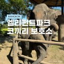 몽키36 | 아기랑 방콕여행 몽키트래블 엘리펀트파크 코끼리보호소 투어 가격 솔직 후기