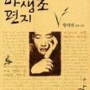 야생초