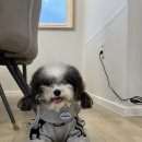 펜션놀스페이스