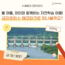금강로하스 해피로드(2) | 올 여름, 아이와 함께하는 자연학습 여행! 금강로하스 에코파크로 떠나볼까요?
