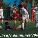 포곡초등학교 이미지