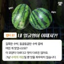 슈박 이미지