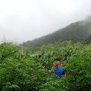 흥선농장 이미지