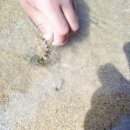 마차진해수욕장 이미지