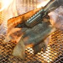 활활숯불 이미지