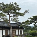대한다원화장실 | 보성 한옥펜션 추천 | 수진한옥펜션 솔직 후기 (대한다원 근처 감성 숙소)