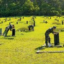 애월읍충혼묘지 이미지