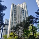 모산골약국 이미지