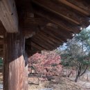 묵계2리 묵계교 전 좌측 | 20191124 묵계서원, 만휴정, 결혼뎐