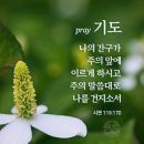 무덤의 표식 이미지