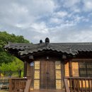 산삼꽃피는마을 네이버블로그