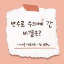 자기주도파이터클럽수송학원 | 군산 자파클 멘토쌤의 찐 공부법 (반수로 수의예 간 비결은?)