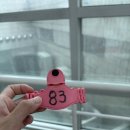 본오종합사회복지관 화장실 | 수린이 갈월종합사회복지관 첫 수영 강습 후기