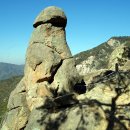 동산1로 이미지