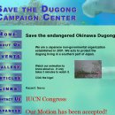 일본의 듀공 보호 단체 Save Dugong Campagin Center (듀공보호 캠페인센터) 이미지