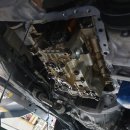 오토오아시스 롯데마트장유점 이미지