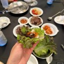 행복한 체험 캠핑장 이미지