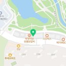 모요붙임머리 네이버블로그
