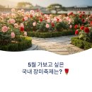 낙동횟집 | 5월 가보고 싶은 국내 장미축제는?
