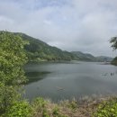 좌구산자연휴양림 이미지