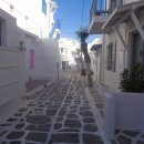 리틀미코노스4 이미지