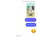 포롱도그 | [🇺🇸 미국 교환학생] #4 Everyday is joyful 🫧 (6-7주차)