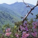 장동18호 태양광발전소 | 대전에 가볼만한 곳