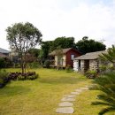 토브랜드 이미지